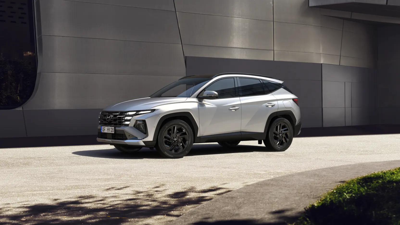 Shimmering Silver Metallic_1